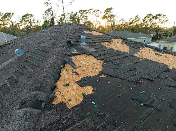 Best Roof Ventilation Installation  in San Diego, TX